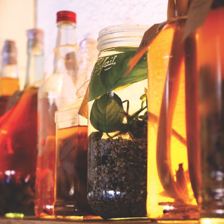 Évènements Des soirées animées et des événements à ne pas manquer !